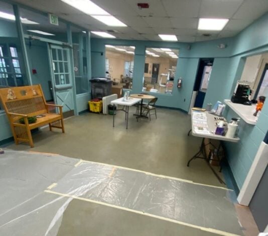 Defenders of Animal Rights Inc in the process of getting freshly painted