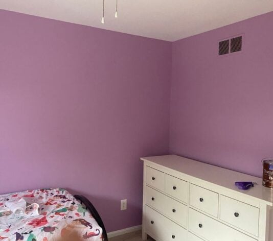 bright pink wall freshly painted for homeowner