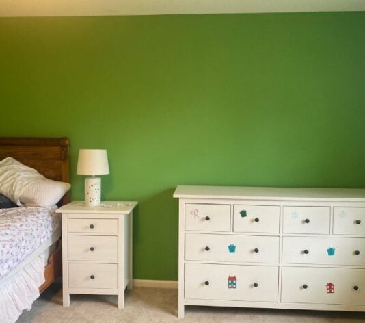 bright green wall freshly painted for residential home