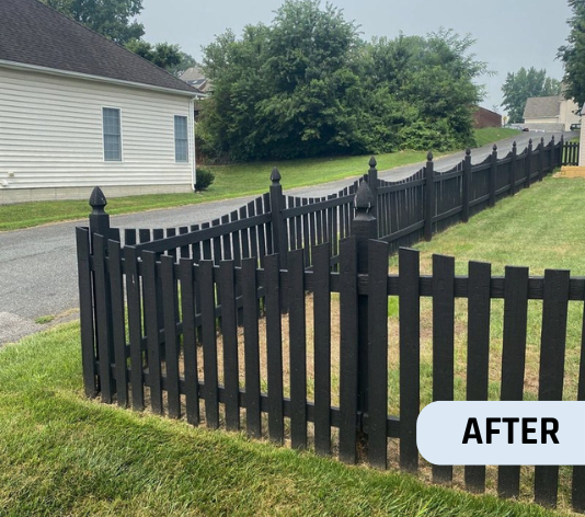 After Fence Painting for Homeowner in Aberdeen, MD